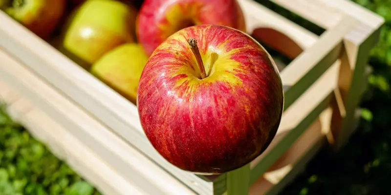 Apple Health Benefits: Why You Should Eat an Apple Every Day